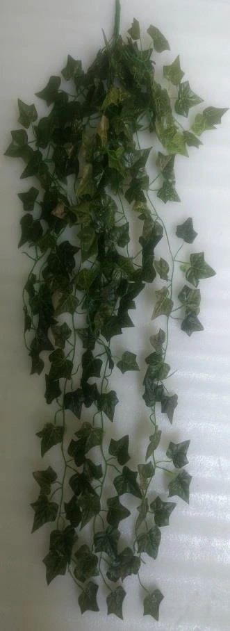 Creeper Hanging Bunch*9